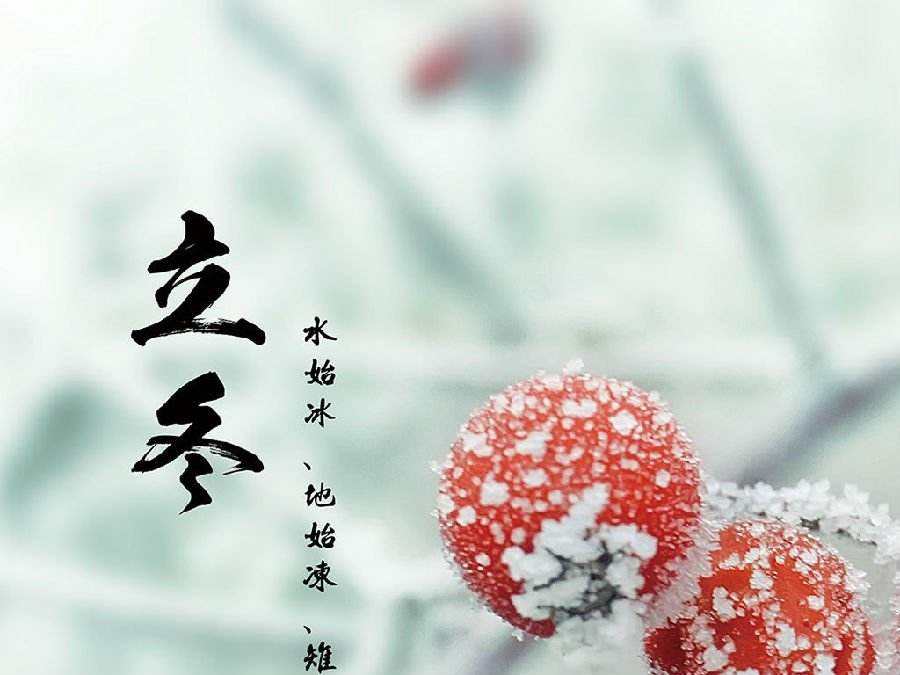 今日立冬，啟睿喊你吃餃子嘍